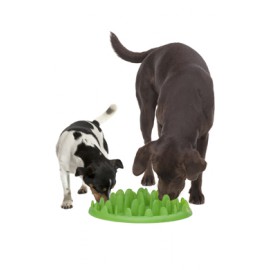 NORTHMATE Green Mini (Интерактивная миска для собак мини пород), 1 шт.
